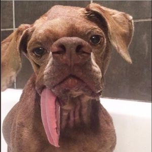 Meet your Posher, Miaaa